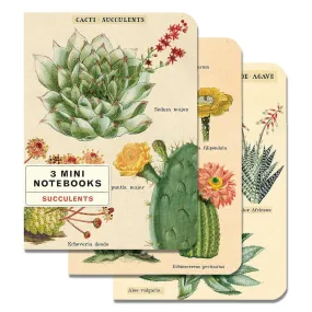 Mini Succulents Notebook 3-pack